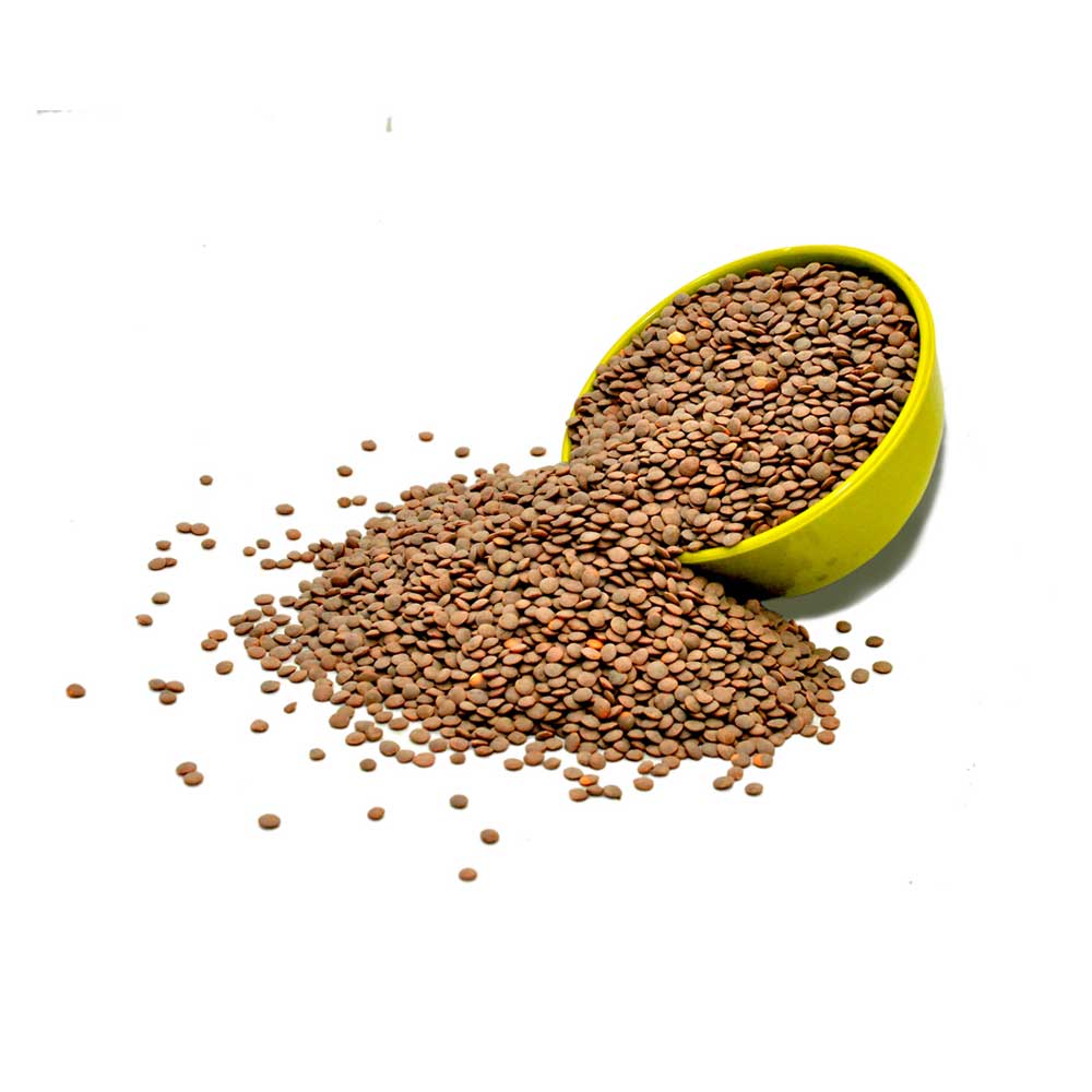 Masoor Dal Whole / Brown Massar Dal